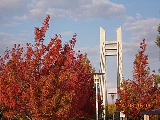 公園入り口アーチの橋